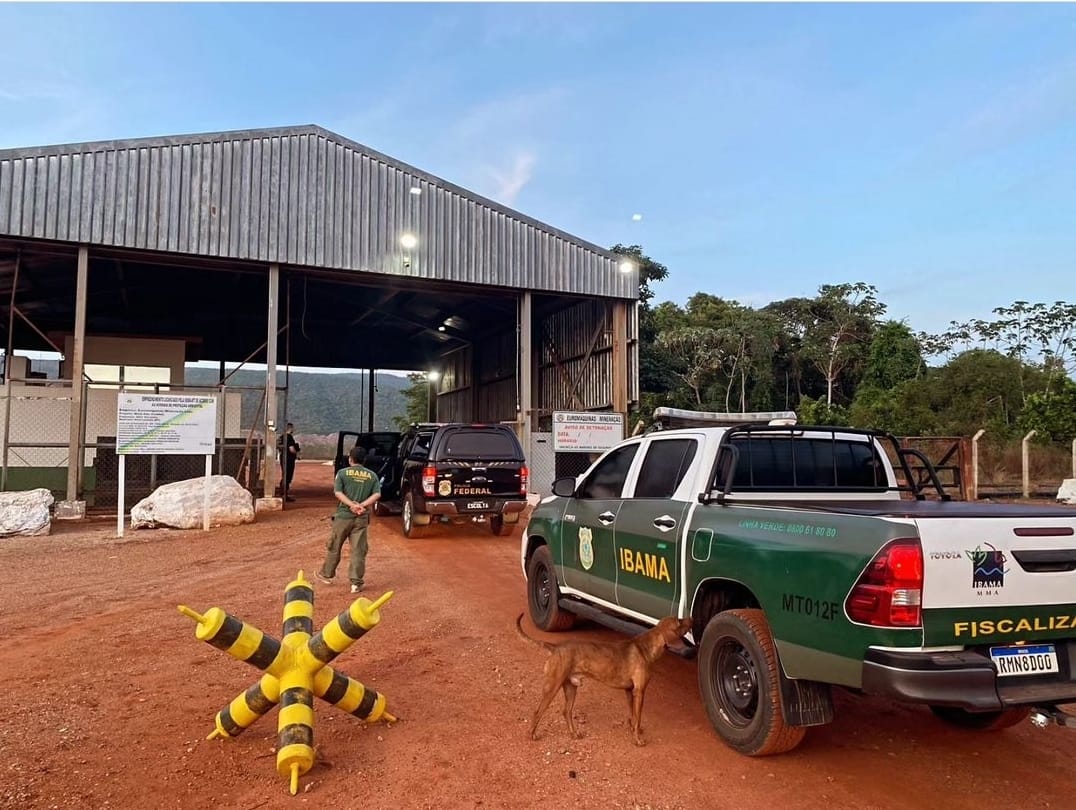 Foto: Divulga&ccedil;&atilde;o Ibama