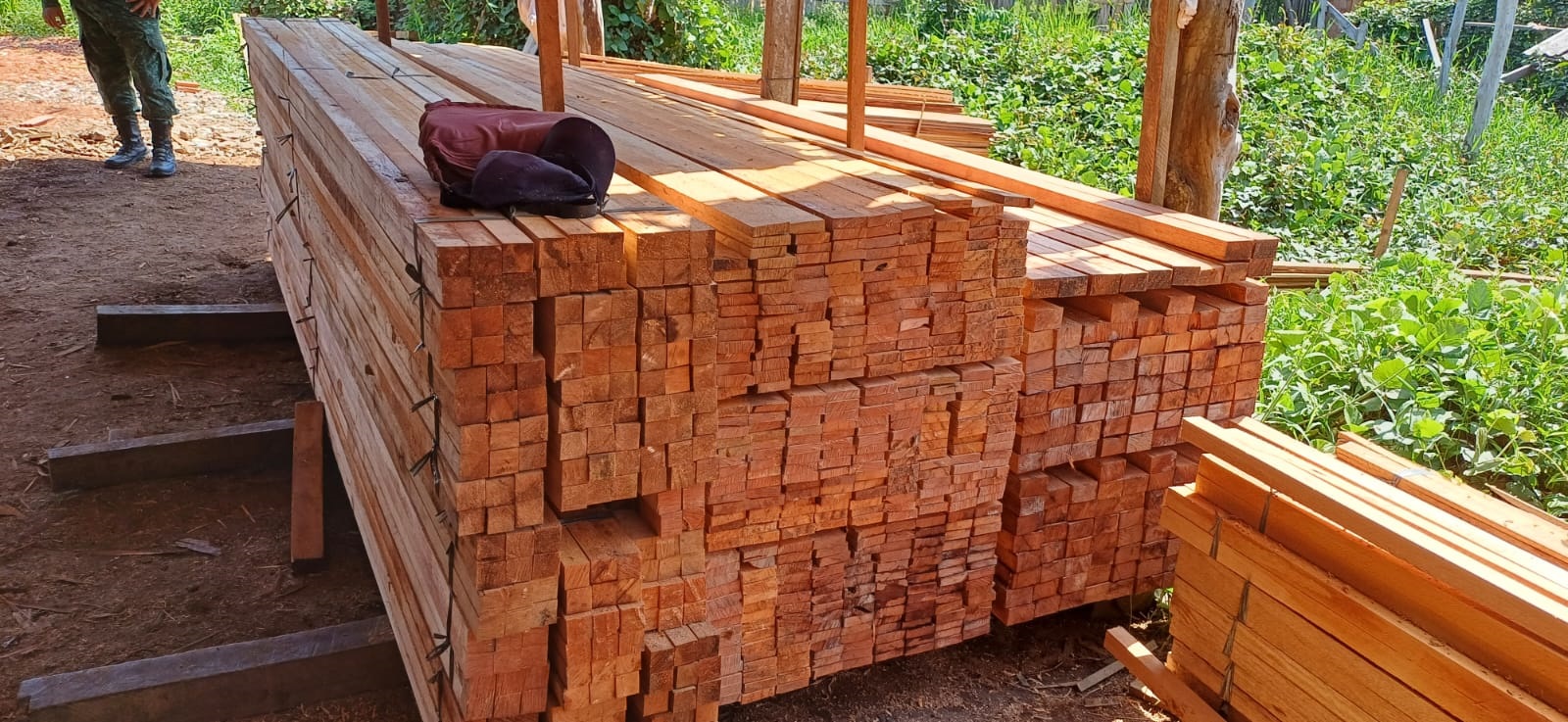 Foto: Divulga&ccedil;&atilde;o PM-AM