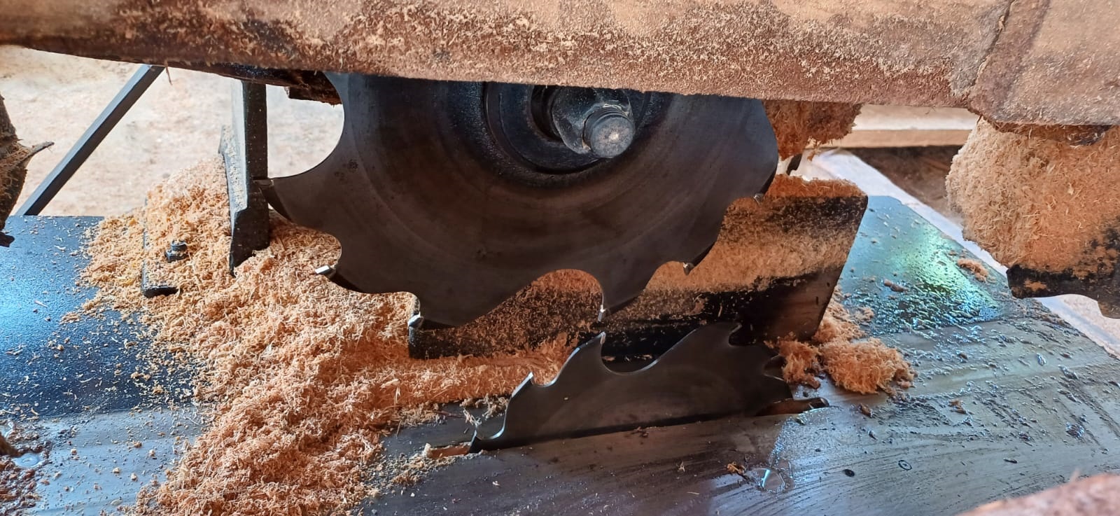 Foto: Divulga&ccedil;&atilde;o PM-AM