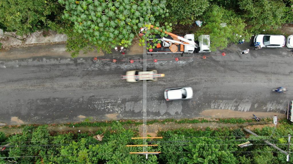 Divulga&ccedil;&atilde;o