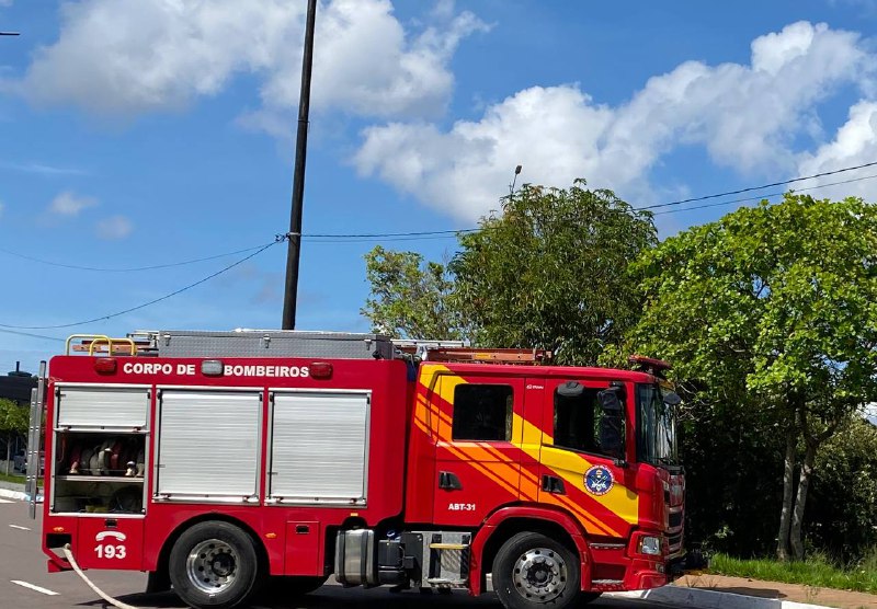 Foto: Divulga&ccedil;&atilde;o CBMAM