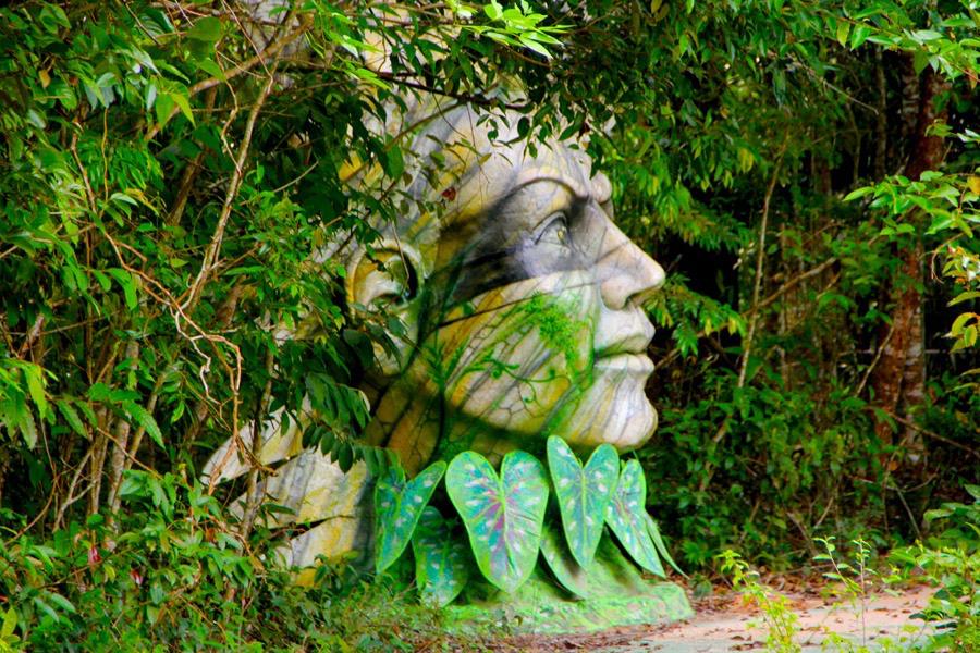 Foto: Divulga&ccedil;&atilde;o 