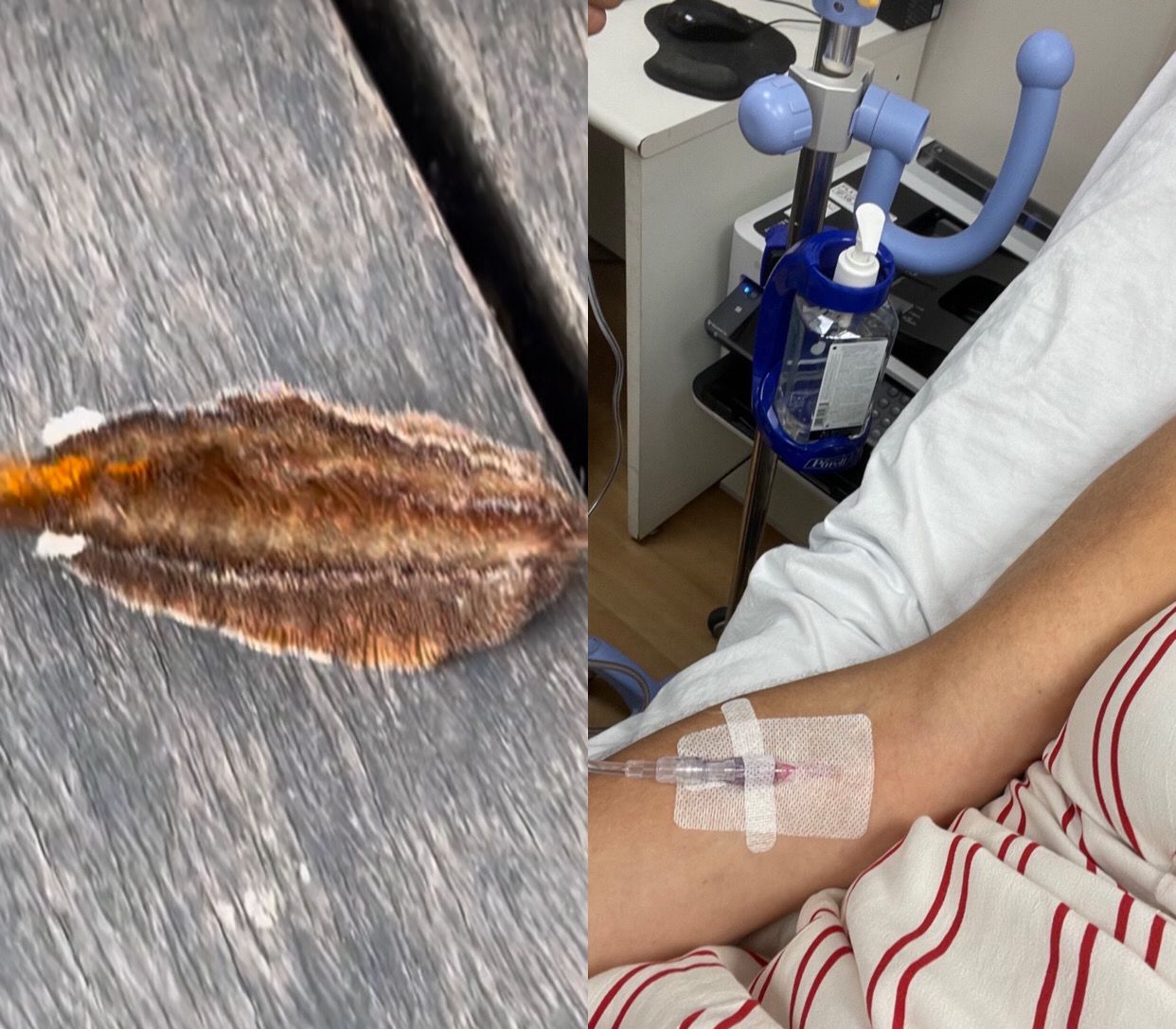 Imagens: Reprodu&ccedil;&atilde;o/Instagram