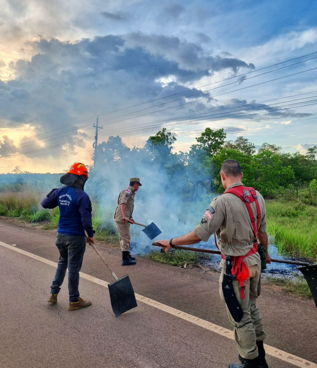 Foto: Divulga&ccedil;&atilde;o CBMAM