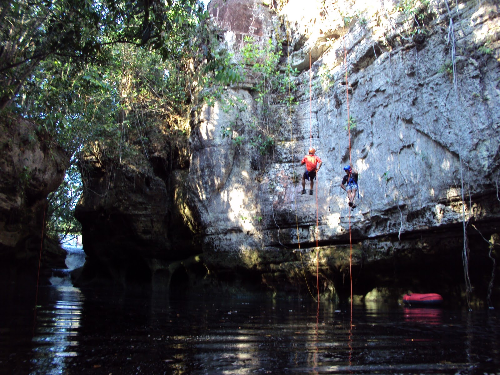 Divulga&ccedil;&atilde;o