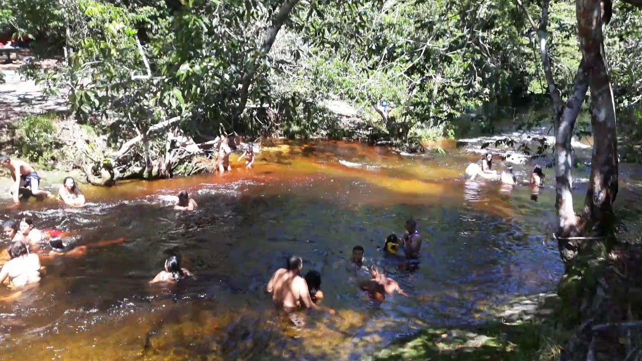 Divulga&ccedil;&atilde;o