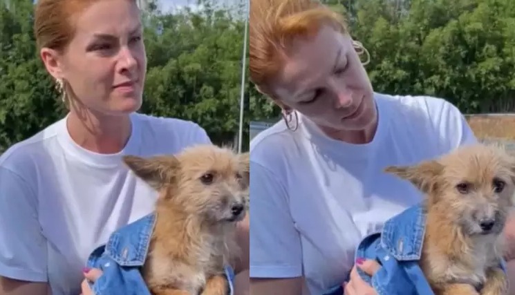 Ana Hickmann resgatou Joaquim em fevereiro - Imagens: Reprodu&ccedil;&atilde;o/Instagram