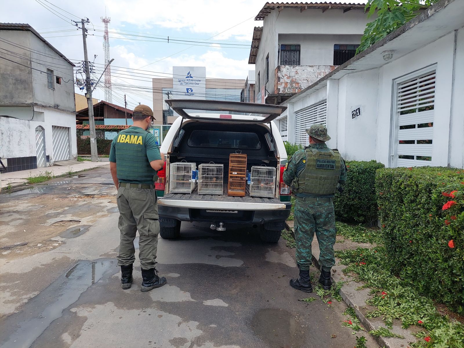 Foto: Divulga&ccedil;&atilde;o Ibama Amazonas