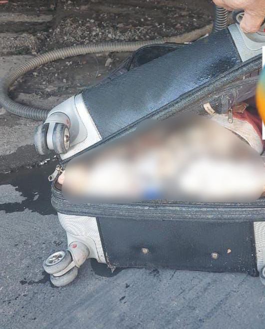 Foto: Divulga&ccedil;&atilde;o