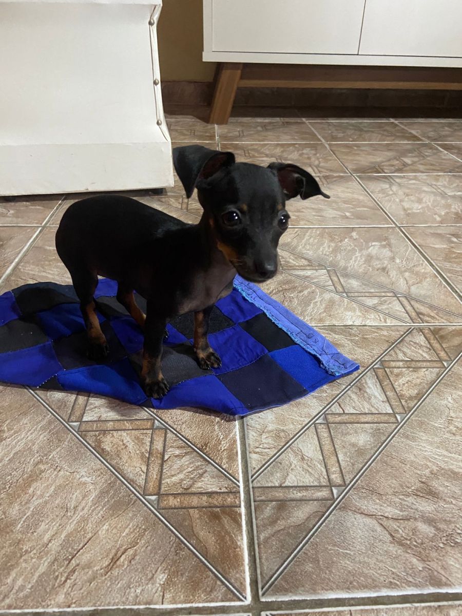 Foto: Divulga&ccedil;&atilde;o