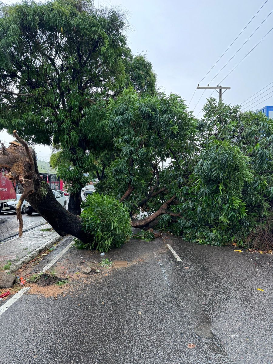 Foto: Jo&atilde;o Luiz Onety 