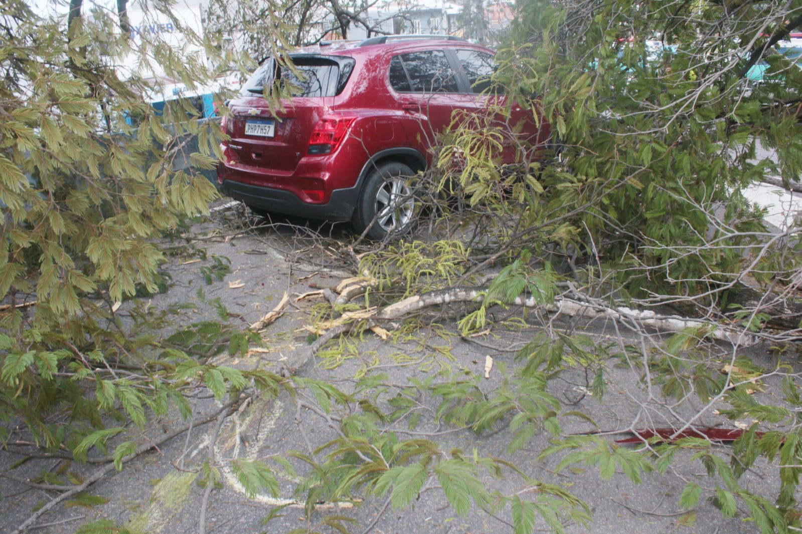 Foto: Jander Robson / Portal do Holanda