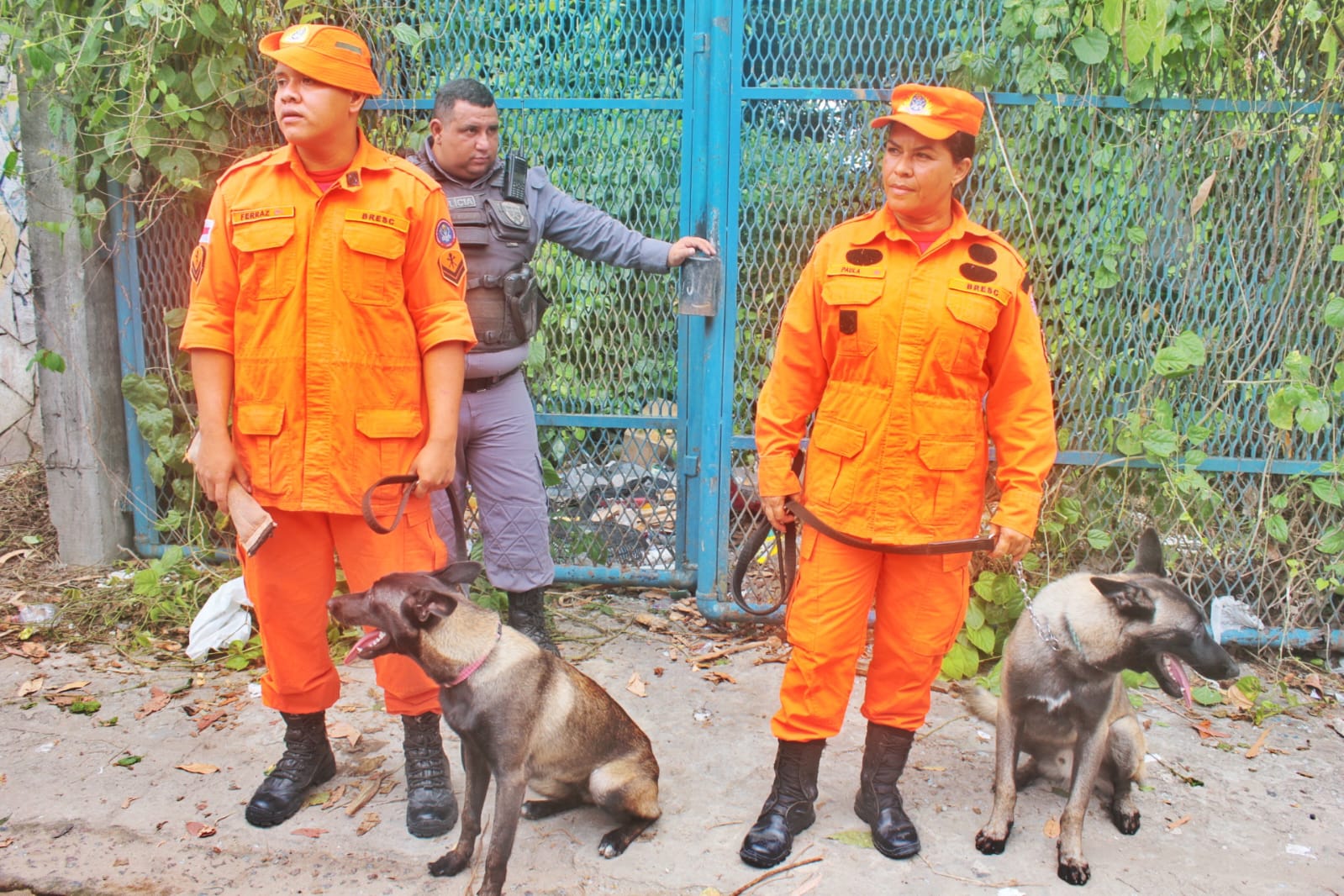 Foto: Jander Robson/Portal do Holanda