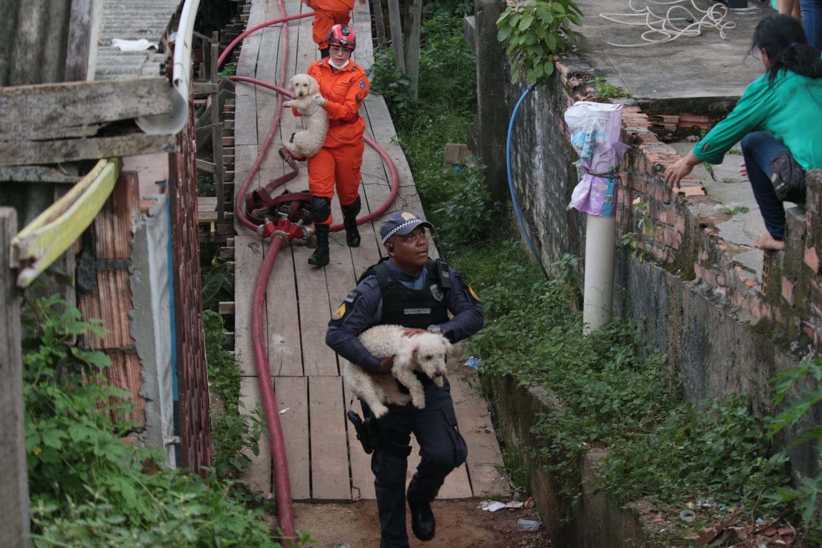 Foto: Jander Robson / Portal do Holanda