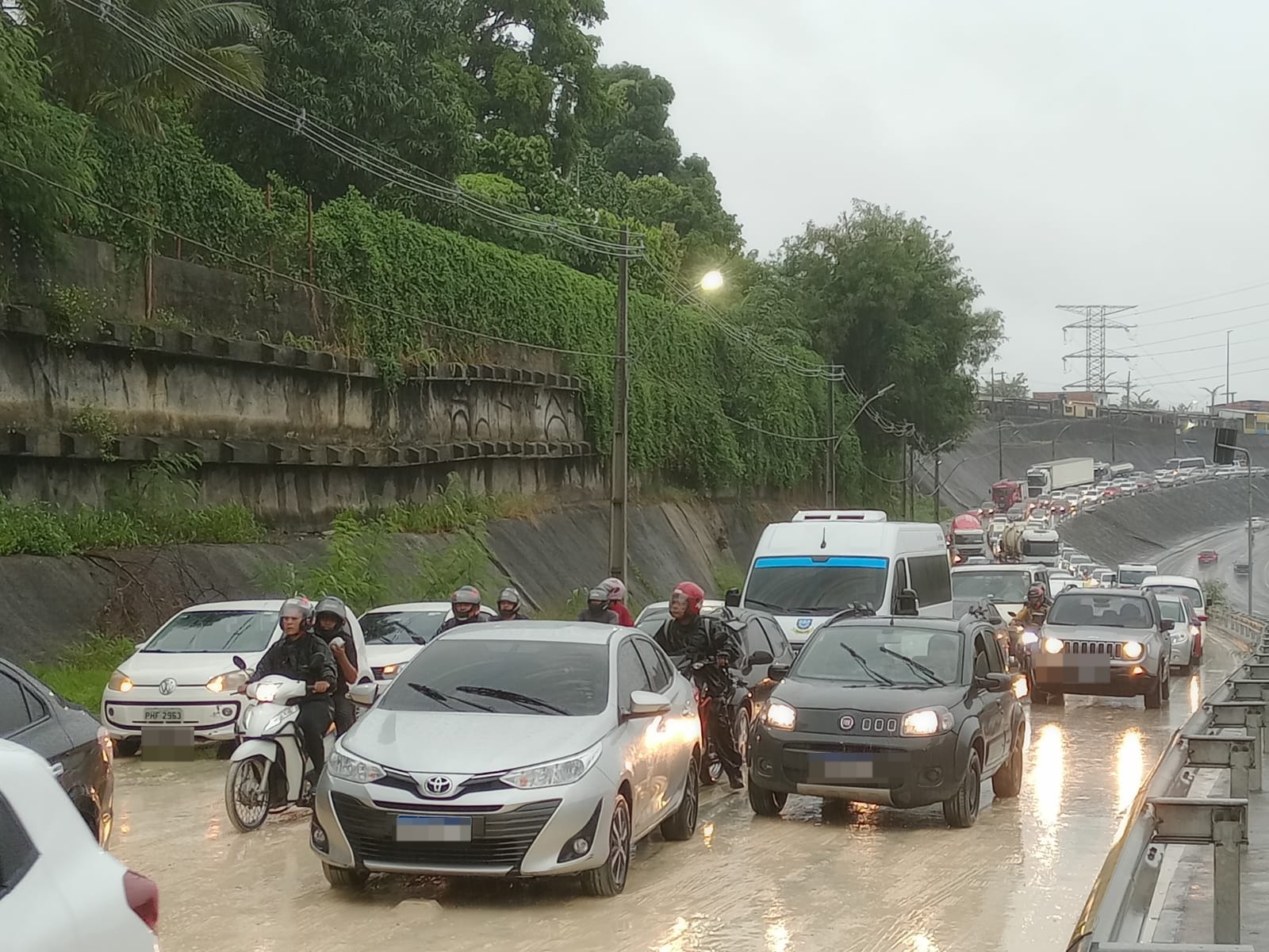 Foto: Jander Robson / Portal do Holanda