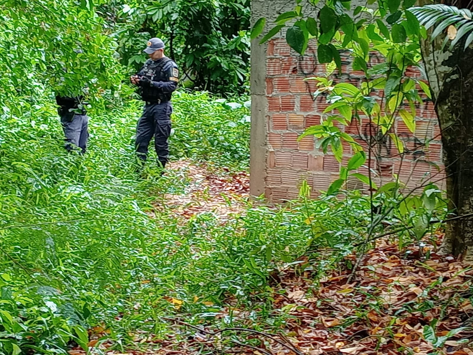 Foto: Jander Robson / Portal do Holanda