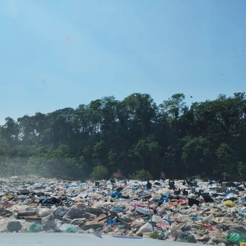 Foto: Reprodu&ccedil;&atilde;o Instagram @joelaraujo_