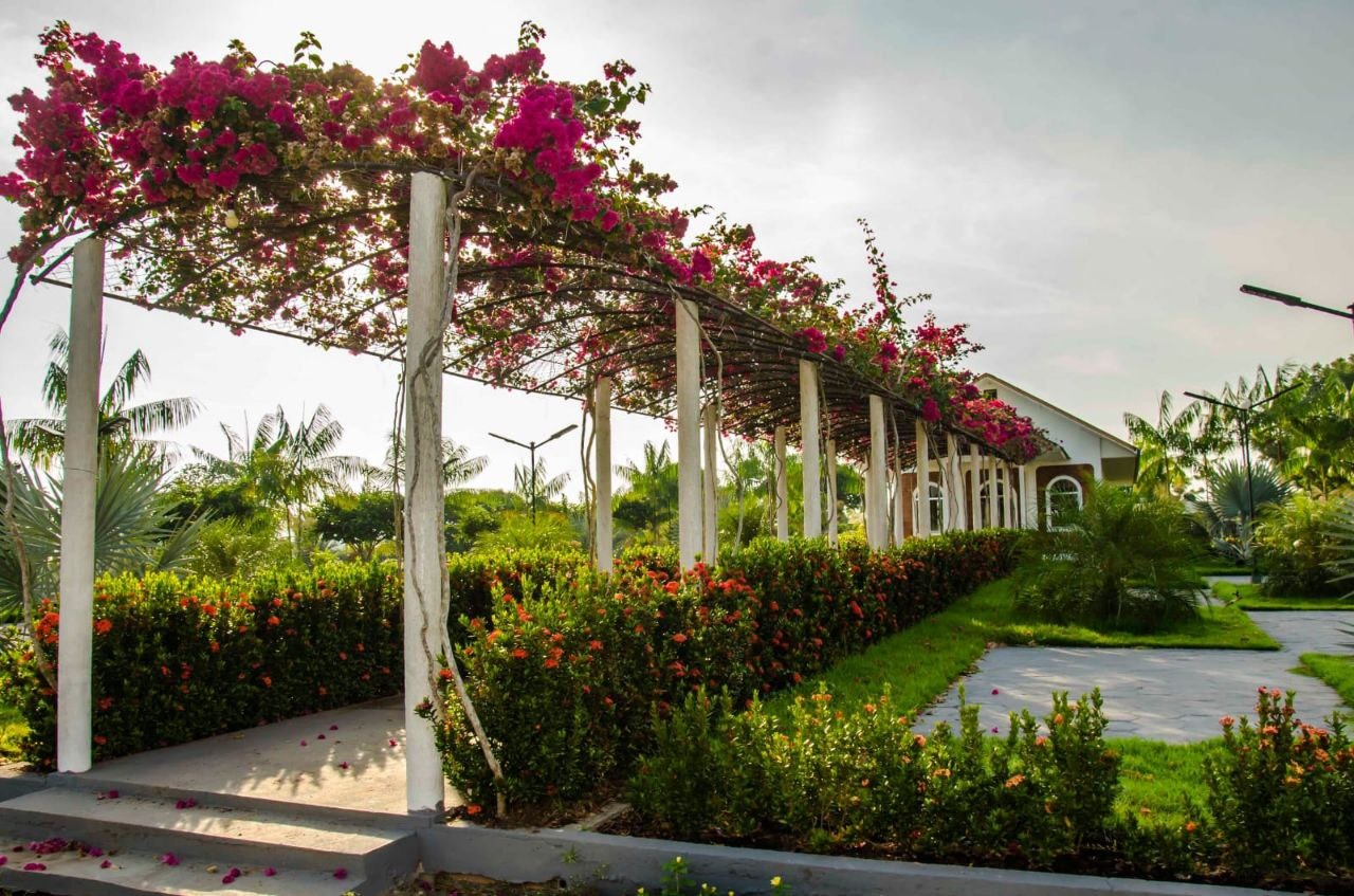 Foto: Divulga&ccedil;&atilde;o 