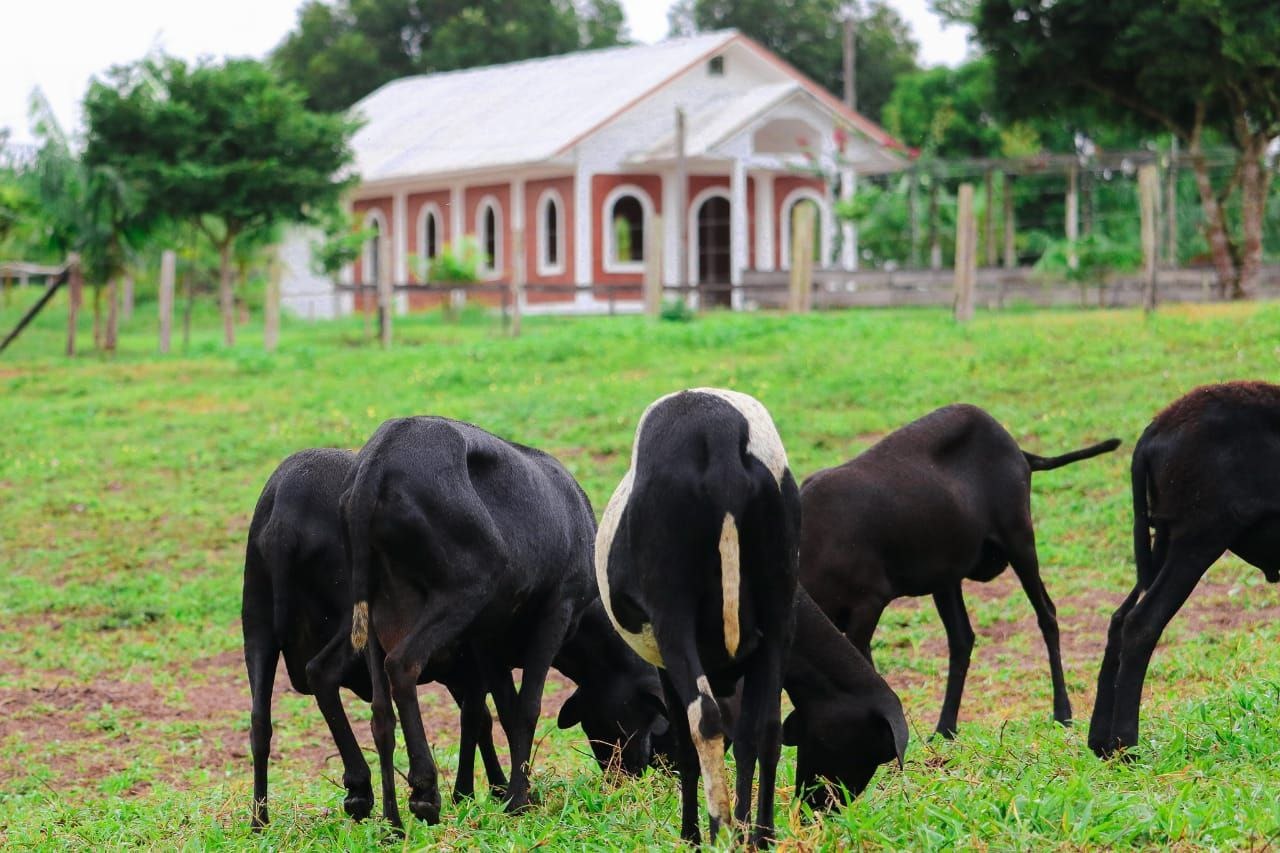 Foto: Divulga&ccedil;&atilde;o 