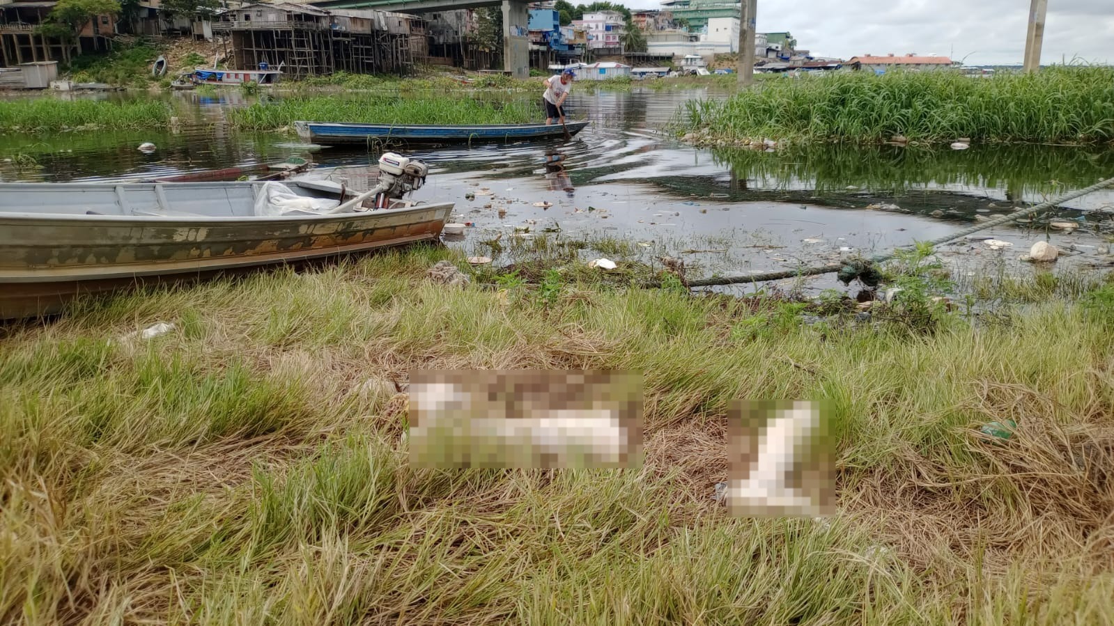 Foto: Jander Robson / Portal do Holanda