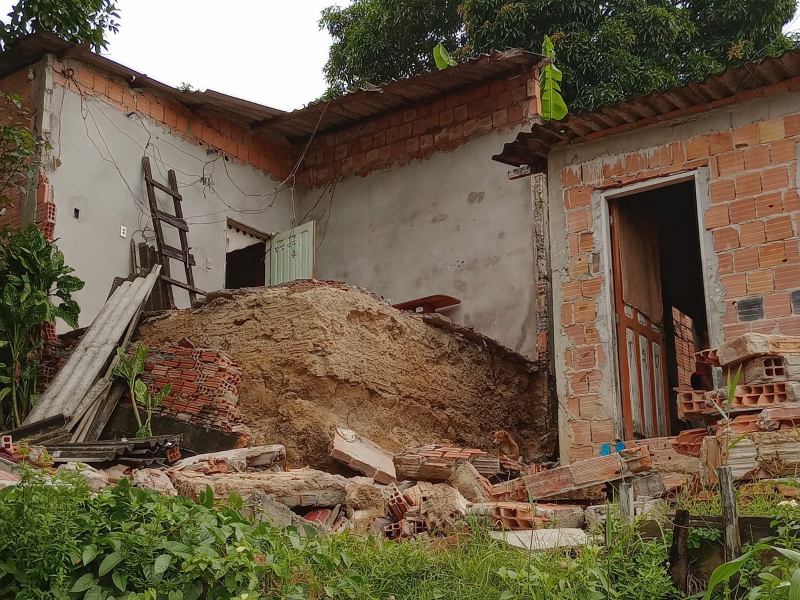 Foto: Jander Robson / Portal do Holanda