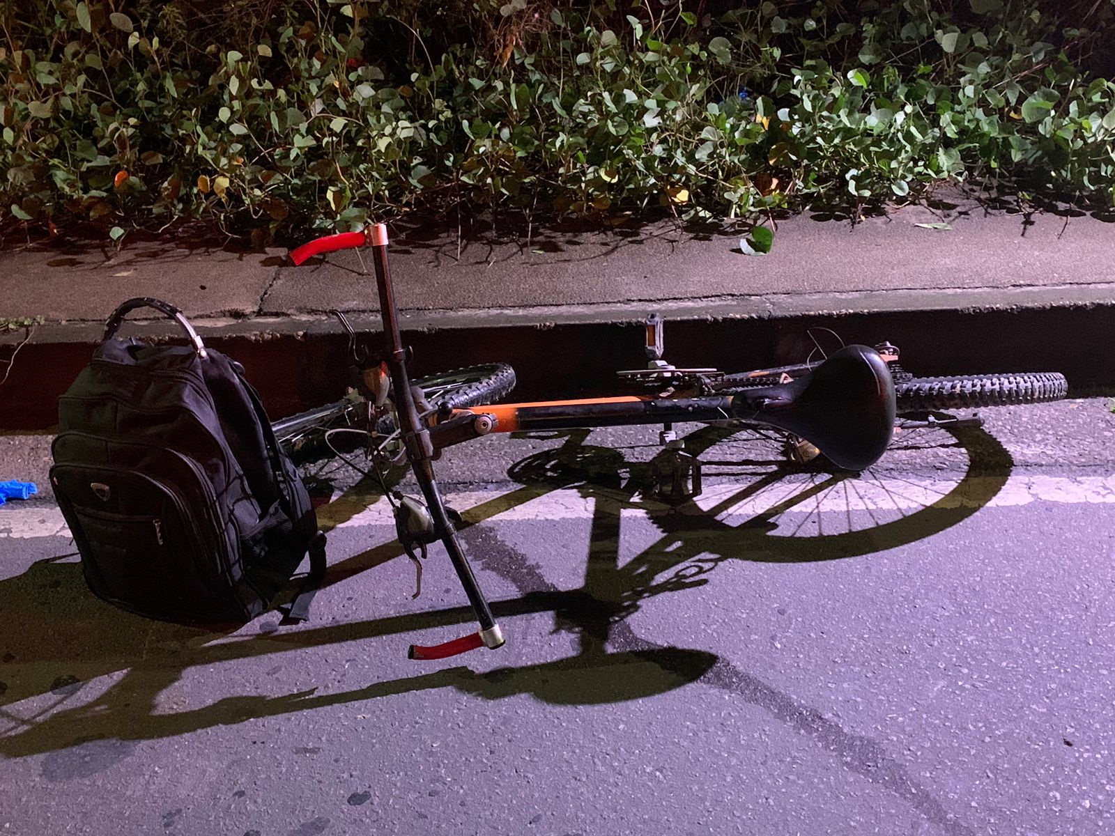 Foto: Caio Guarlotte / Portal do Holanda