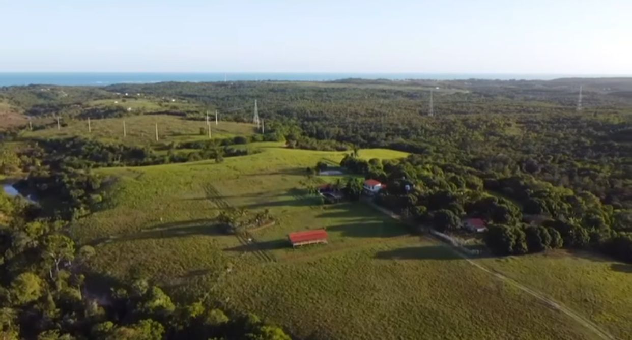 Imagem: Reprodu&ccedil;&atilde;o/Instagram