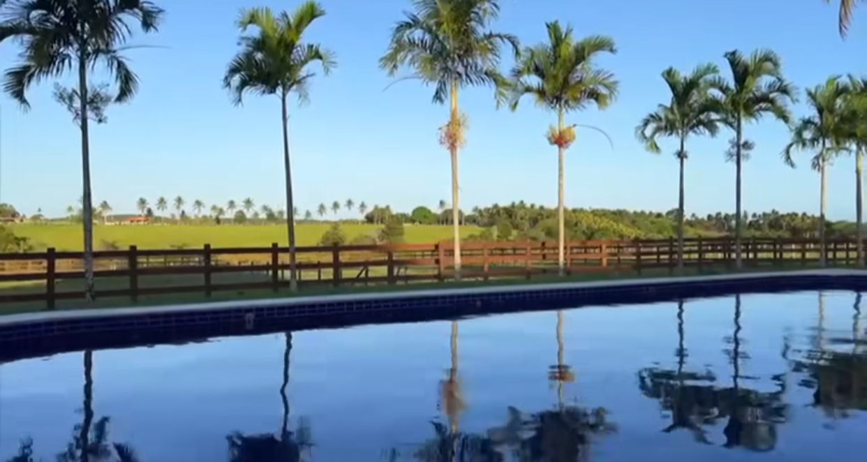 Imagem: Reprodu&ccedil;&atilde;o/Instagram