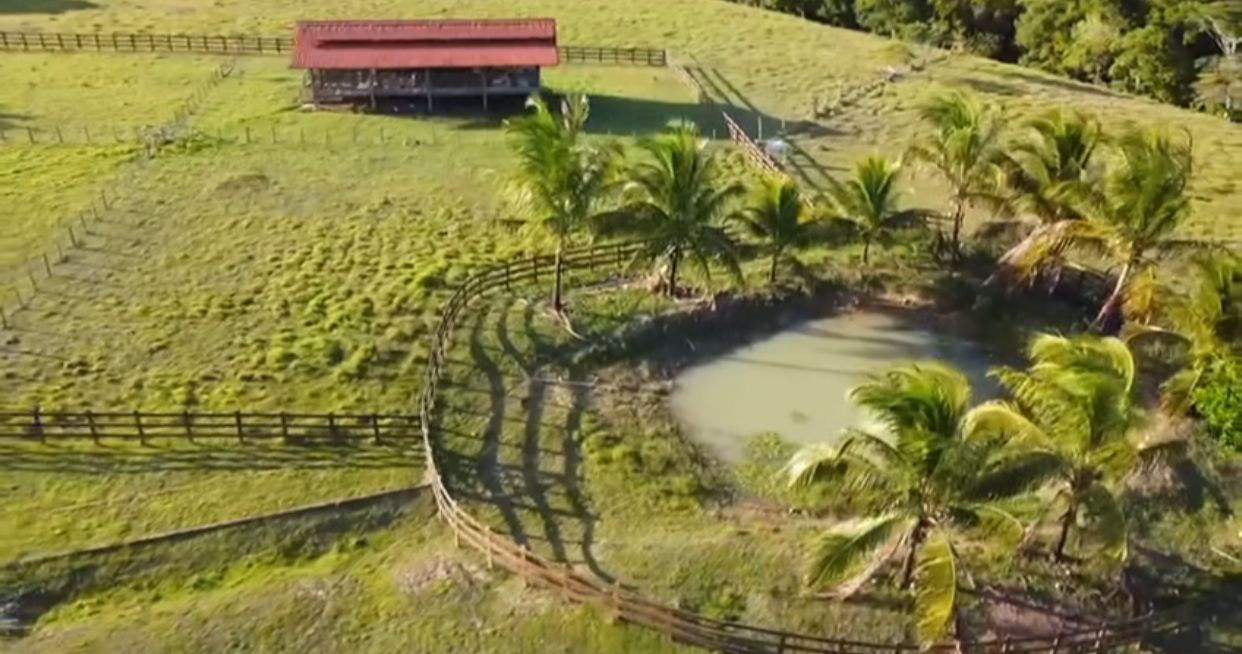 Imagem: Reprodu&ccedil;&atilde;o/Instagram