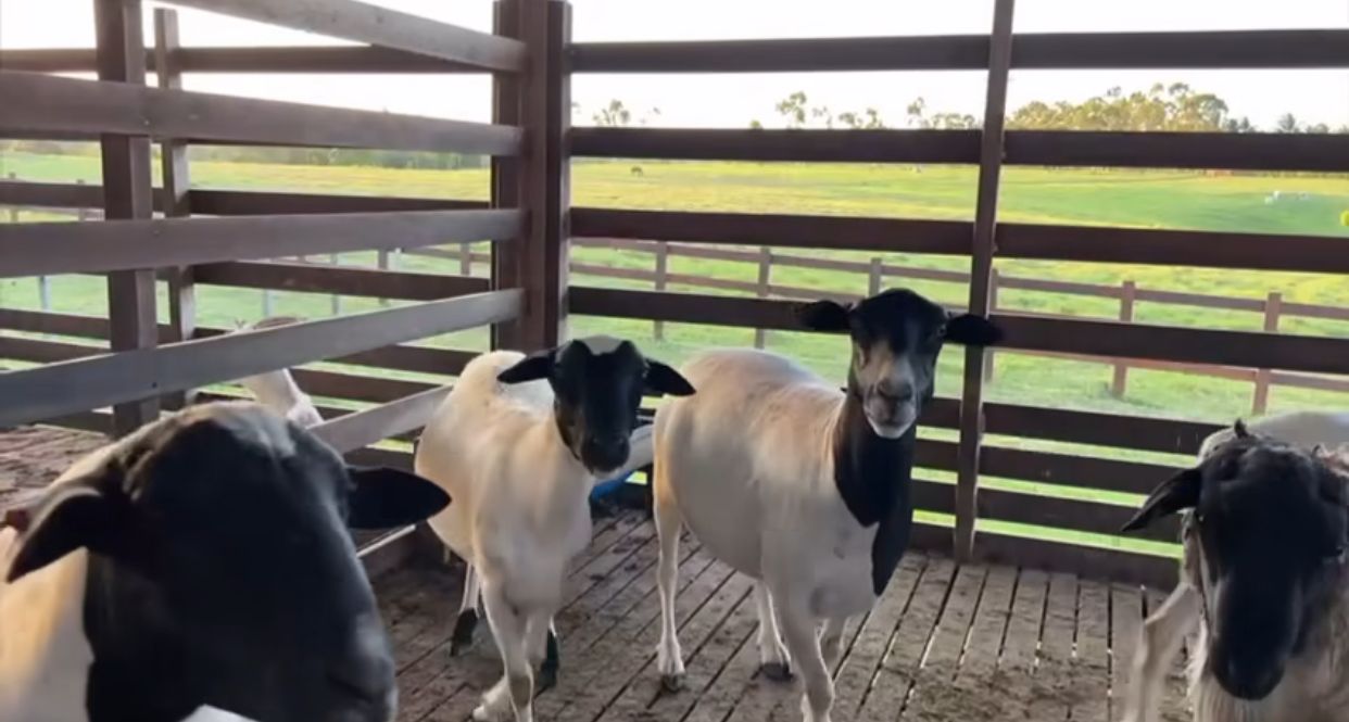 Imagem: Reprodu&ccedil;&atilde;o/Instagram