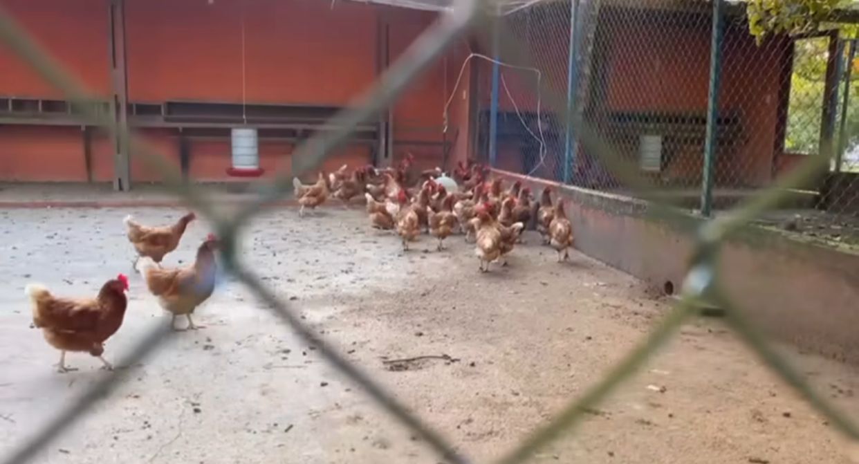 Imagem: Reprodu&ccedil;&atilde;o/Instagram