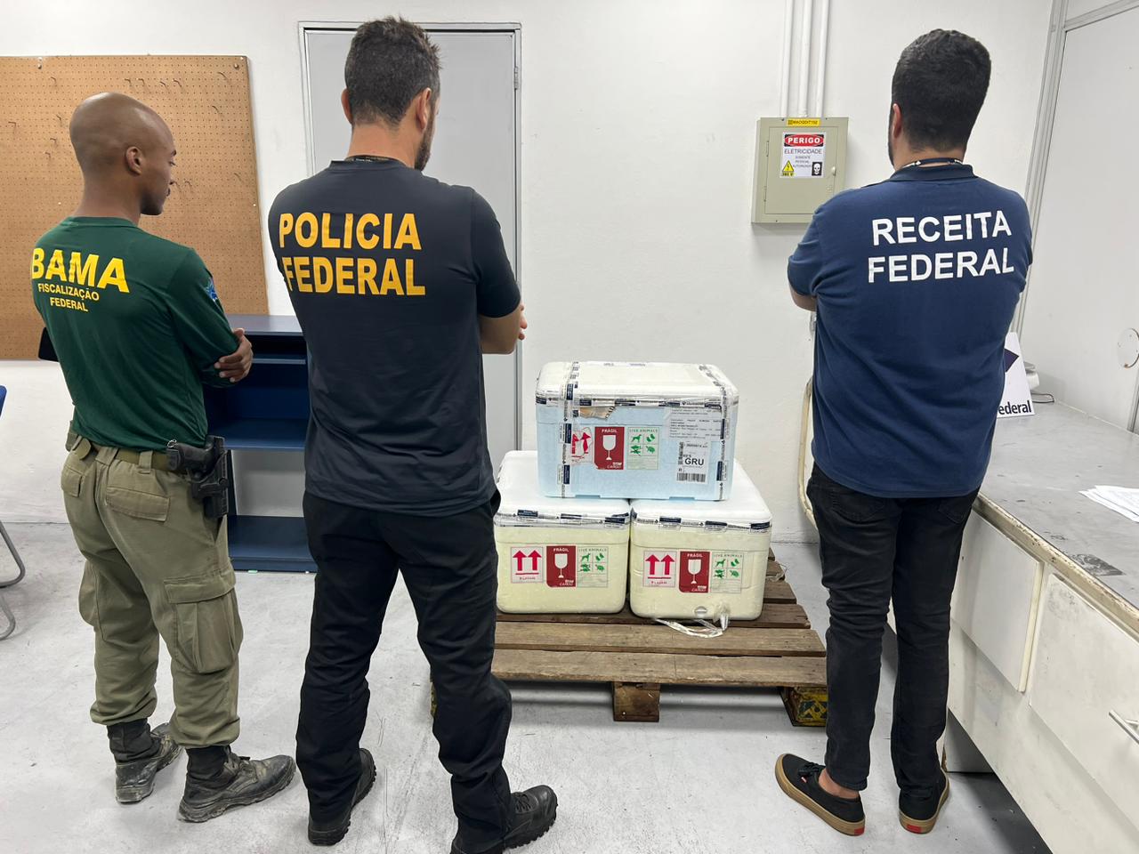 Foto: Divulga&ccedil;&atilde;o Receita Federal do Amazonas