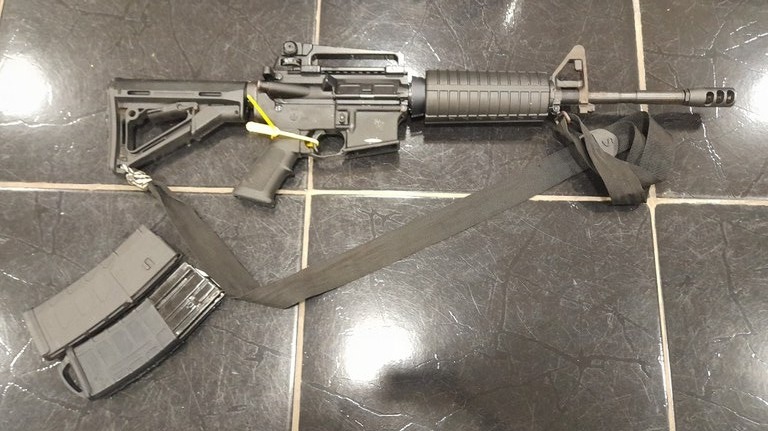 Foto: Divulga&ccedil;&atilde;o PF-PA