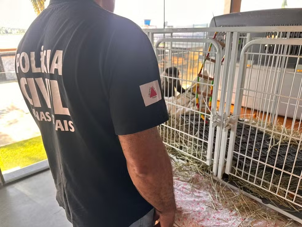 Foto: Pol&iacute;cia Civil de Minas Gerais