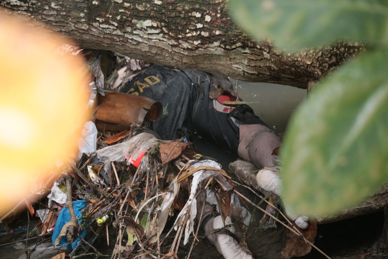 Foto: Jander Robson / Portal do Holanda