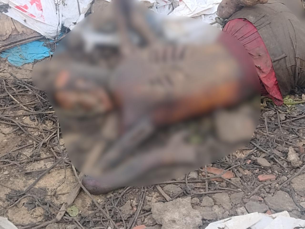 Foto: Divulga&ccedil;&atilde;o