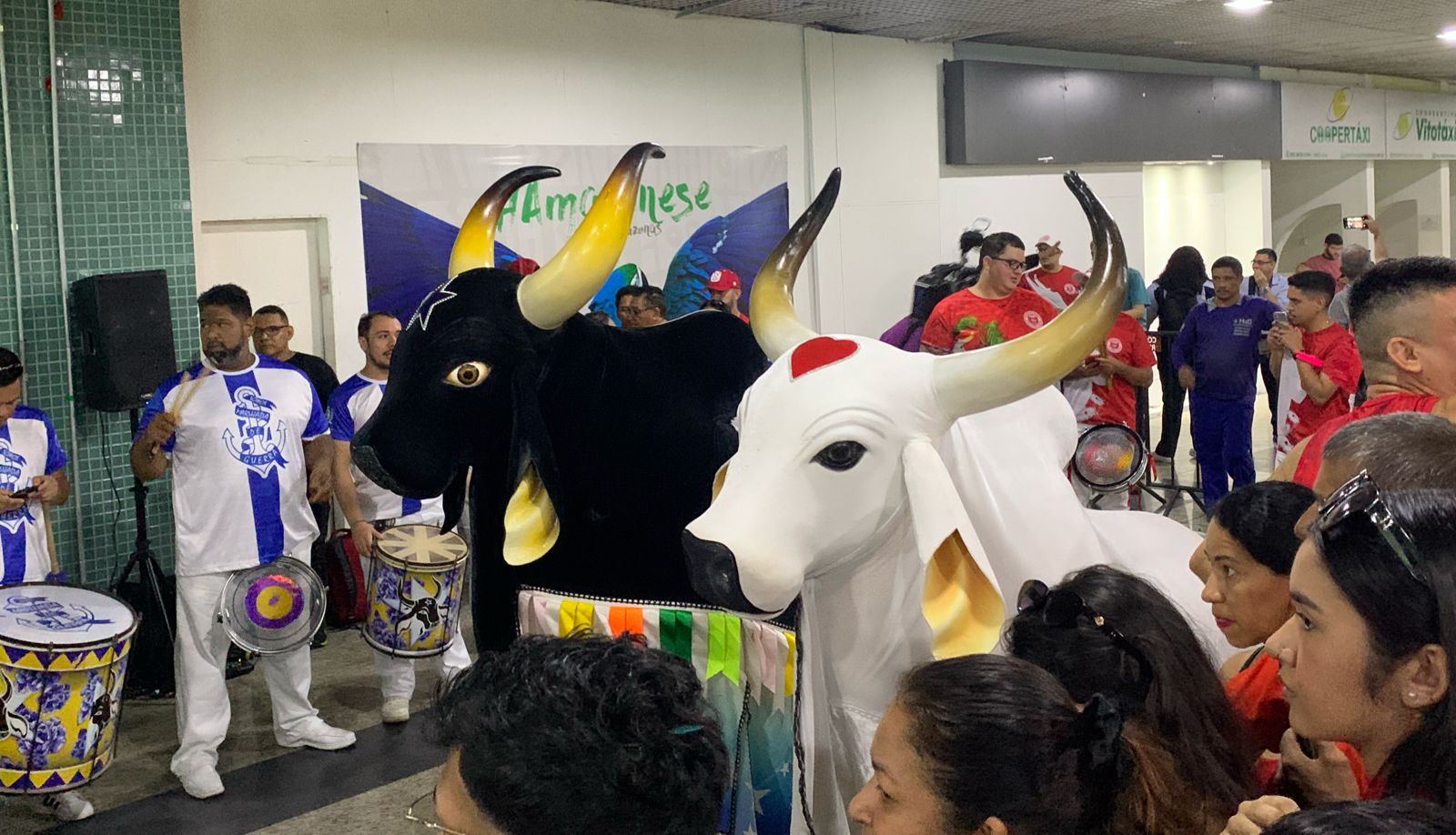 Foto: Caio Guarlotte / Portal do Holanda