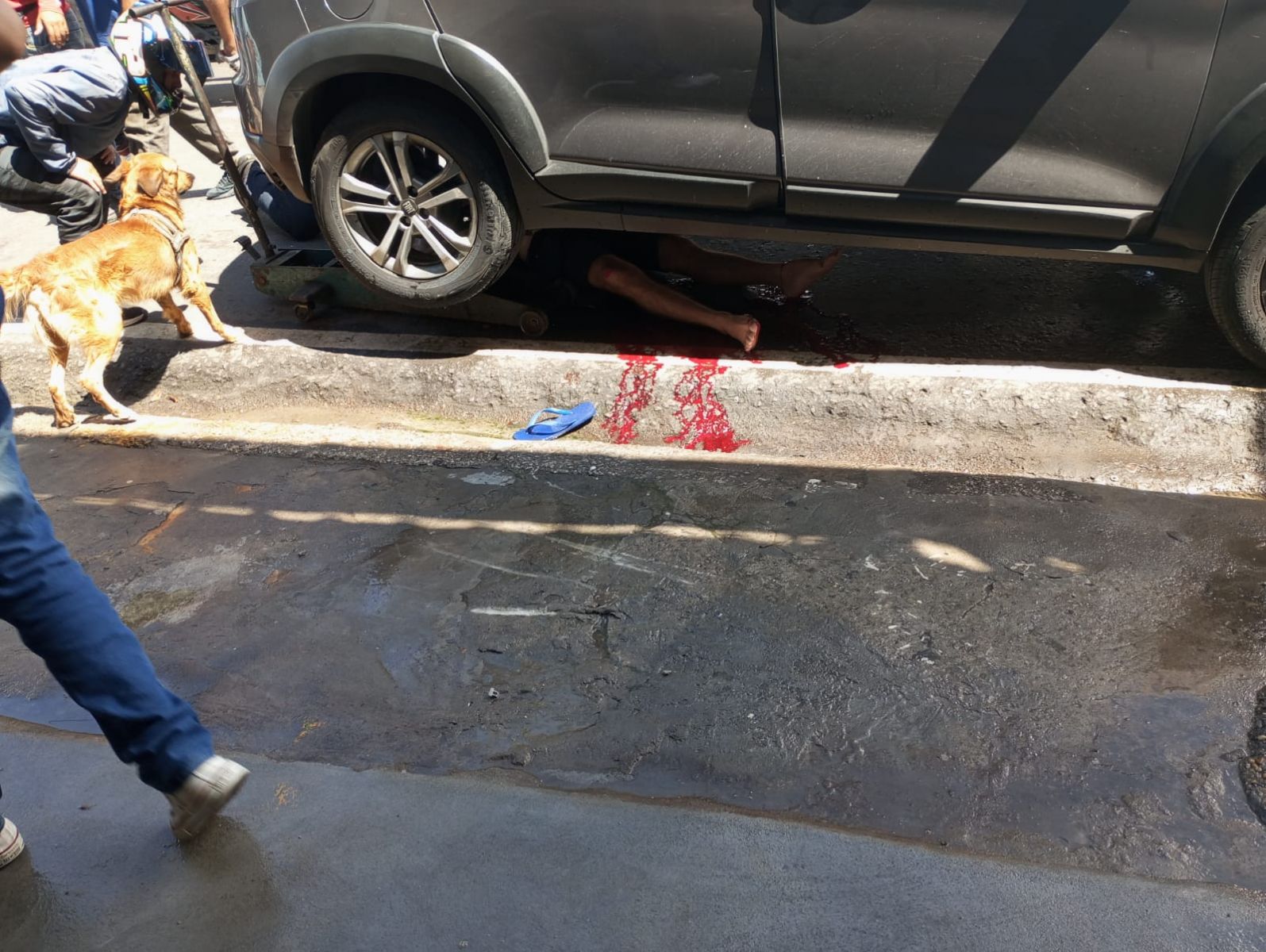 Foto: Divulga&ccedil;&atilde;o