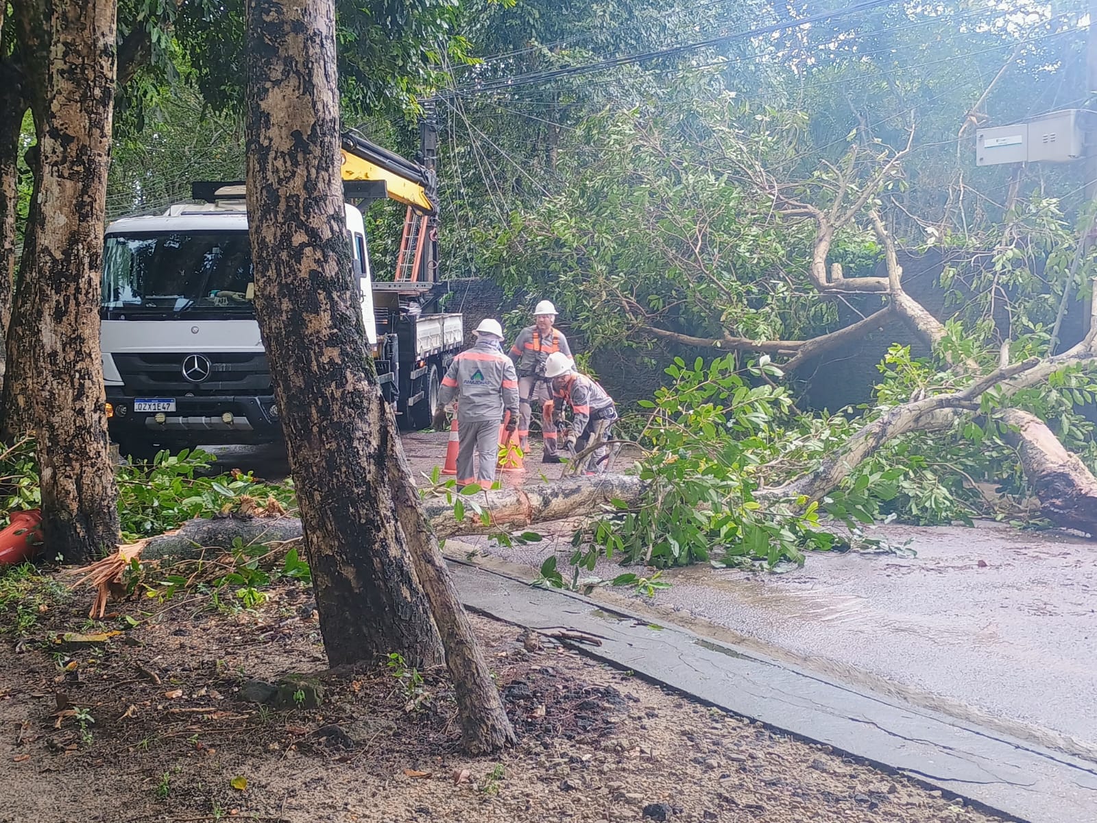 Foto: Jander Robson / Portal do Holanda