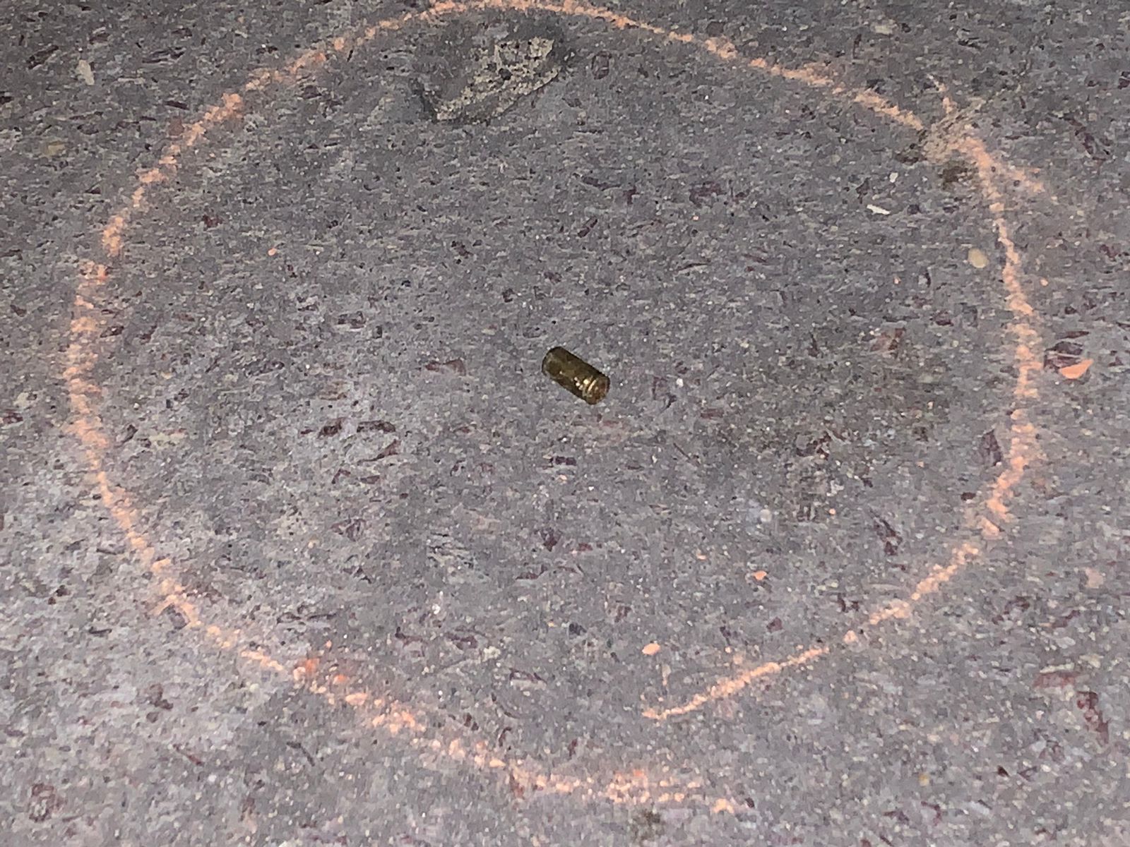 Foto: Caio Guallote / Portal do Holanda