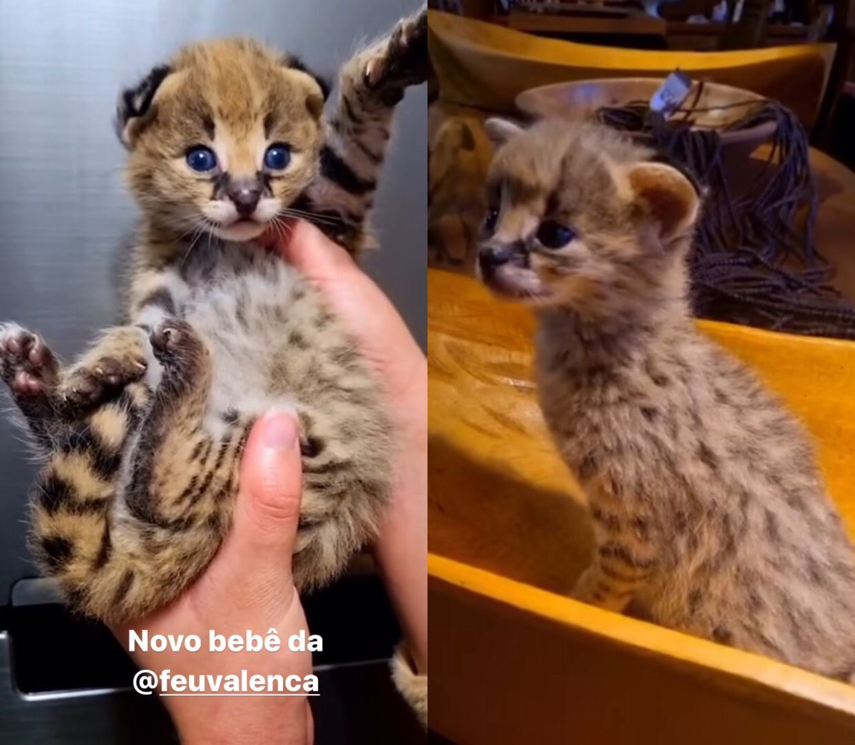 Imagens: Reprodu&ccedil;&atilde;o/Instagram