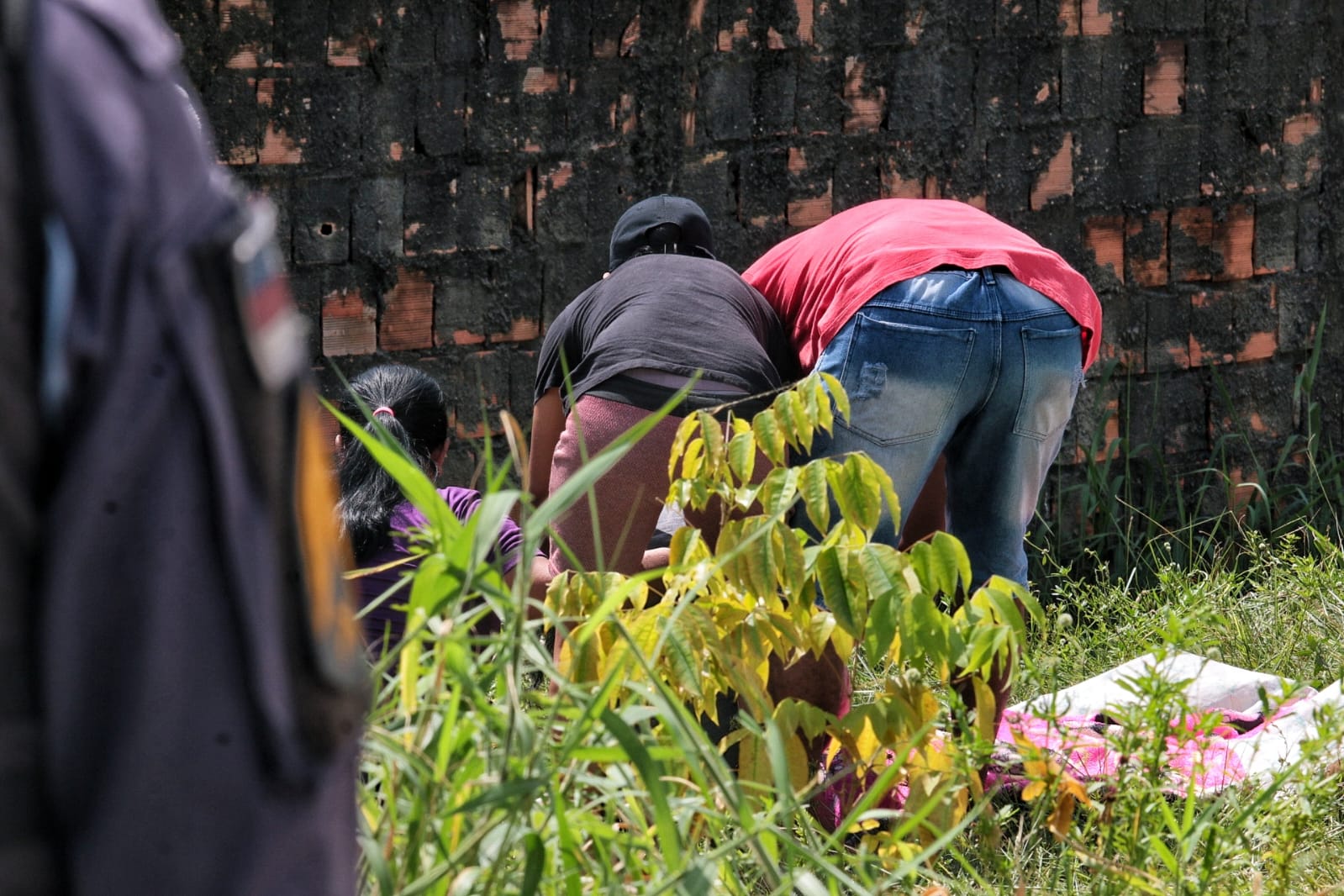 Foto: Jander Robson / Portal do Holanda