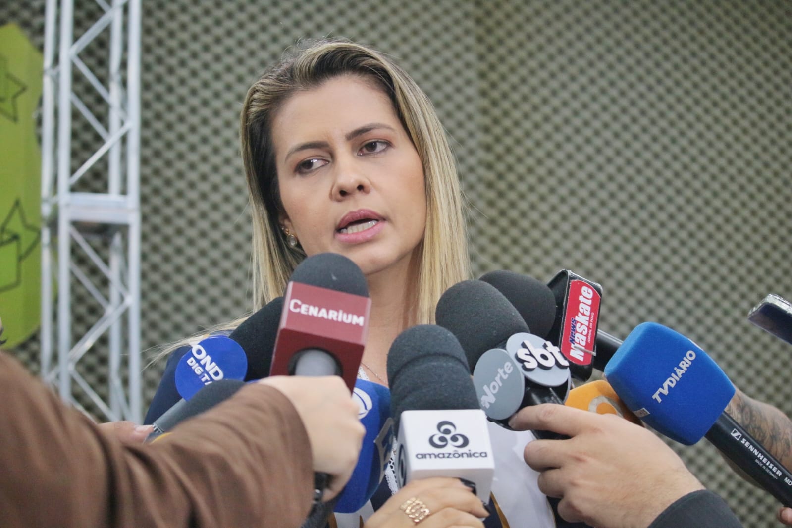 Delegada Andreia Nascimento, titular da DECCI. - Foto: Jander Robson / Portal do Holanda