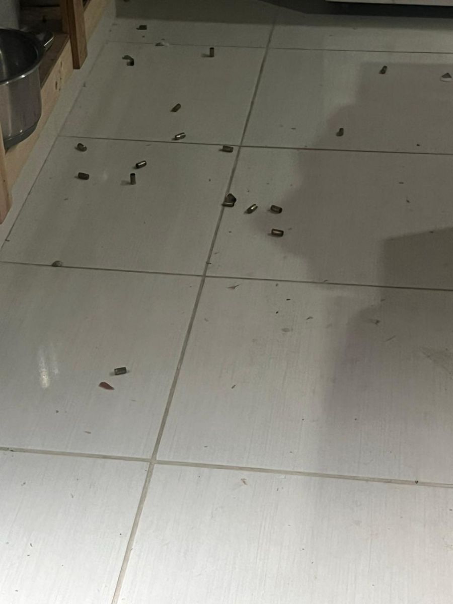 Foto: Divulga&ccedil;&atilde;o 