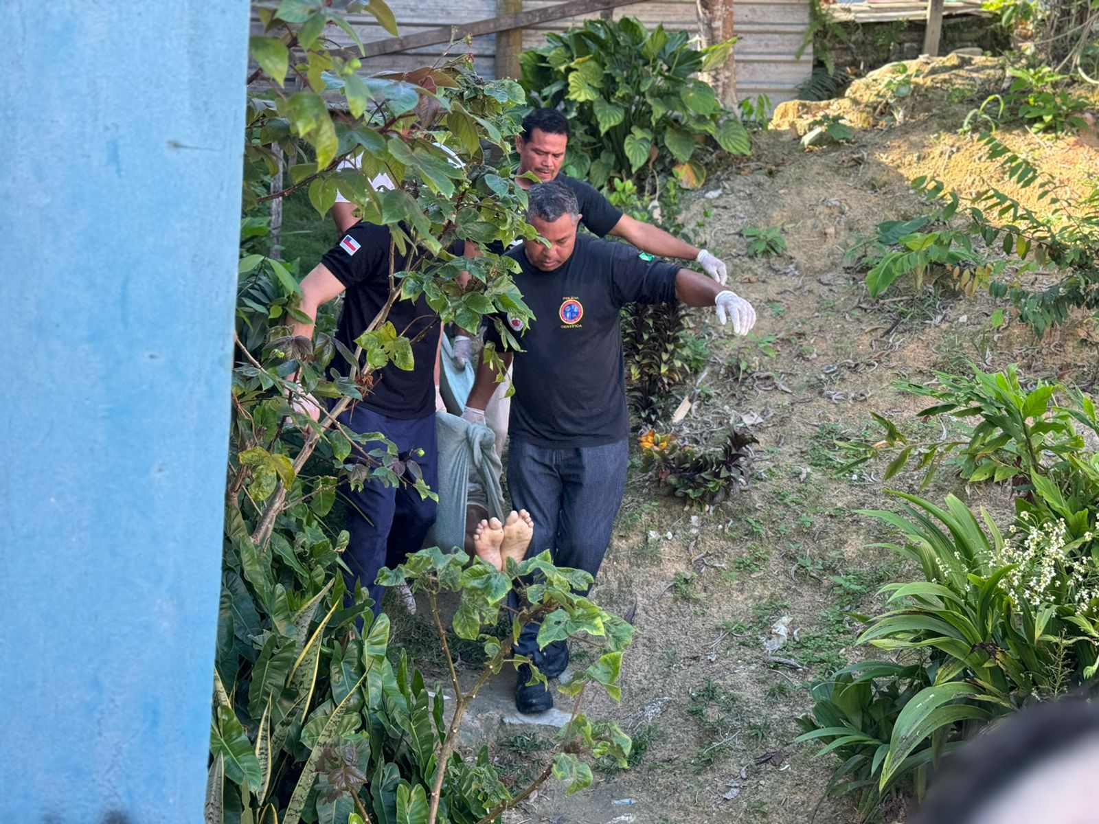 Foto: Neto Silva/Portal do Holanda