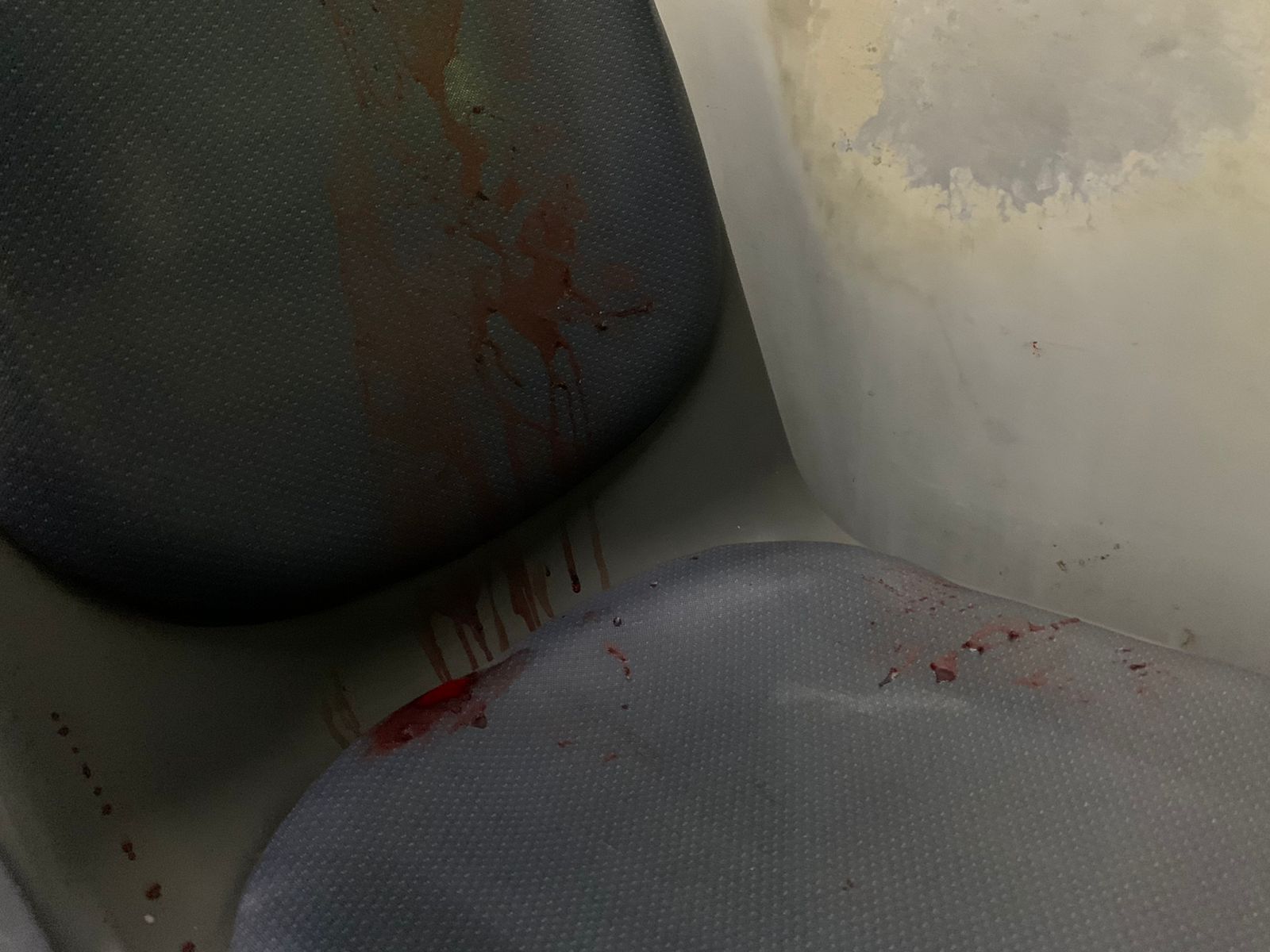 Foto: Caio Guarlotte - Portal do Holanda