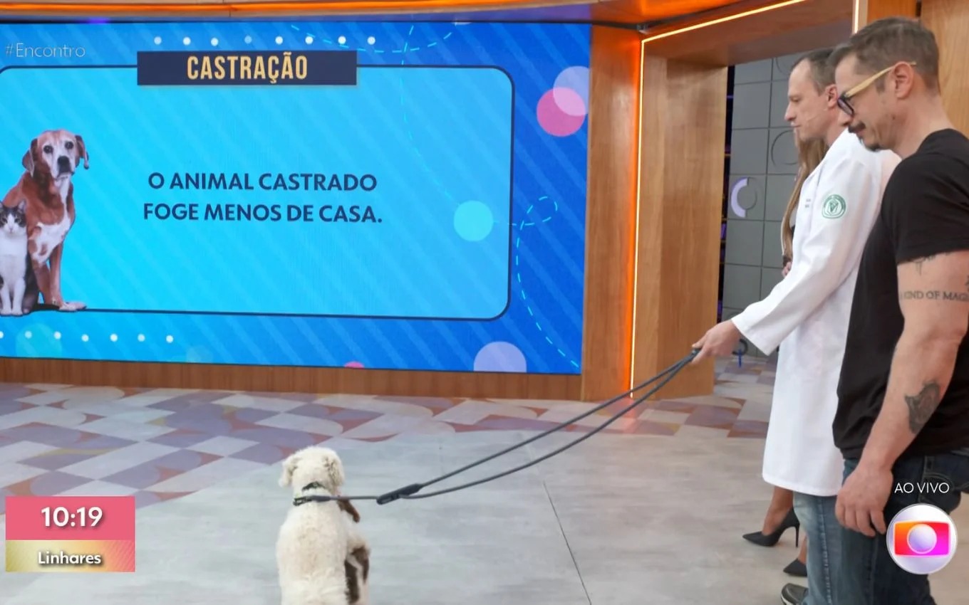 Foto: Reprodu&ccedil;&atilde;o TV Globo