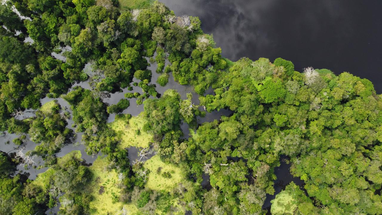 Foto: Divulga&ccedil;&atilde;o