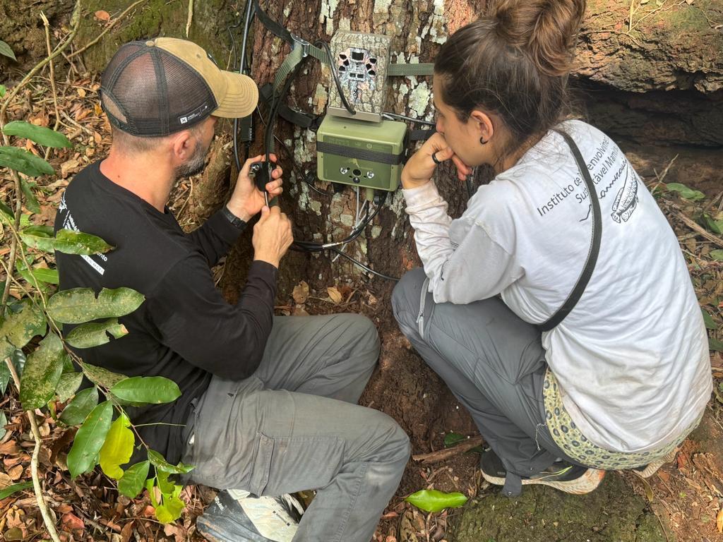 Foto: Divulga&ccedil;&atilde;o