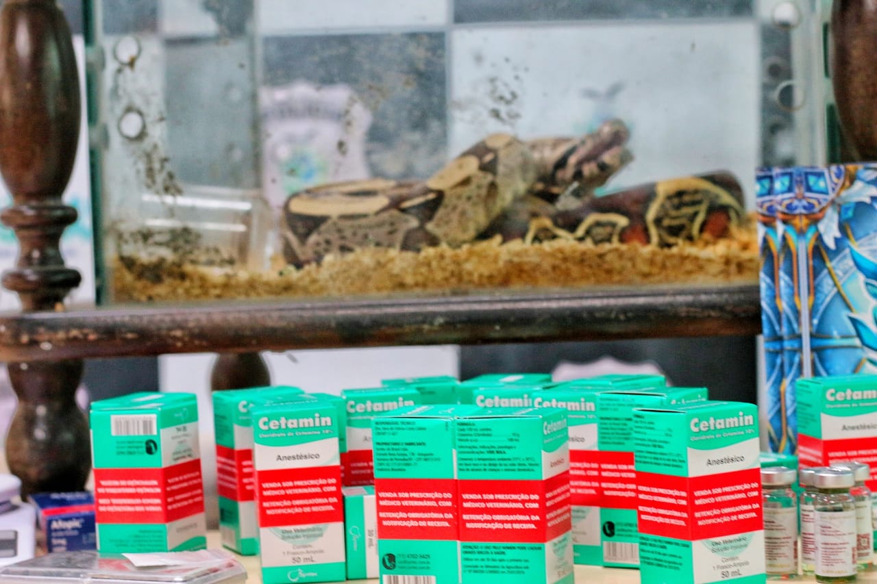 Pol&iacute;cia apreendeu Ketamina e Jiboia na casa do DJ Kallel / Foto - Jander Robson / Portal do Holanda